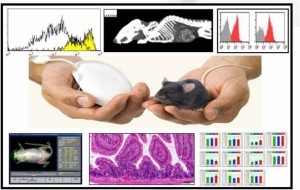 Phenotyping-services-300x190