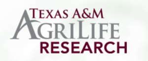 Texas A&M AgriLife Research Logo